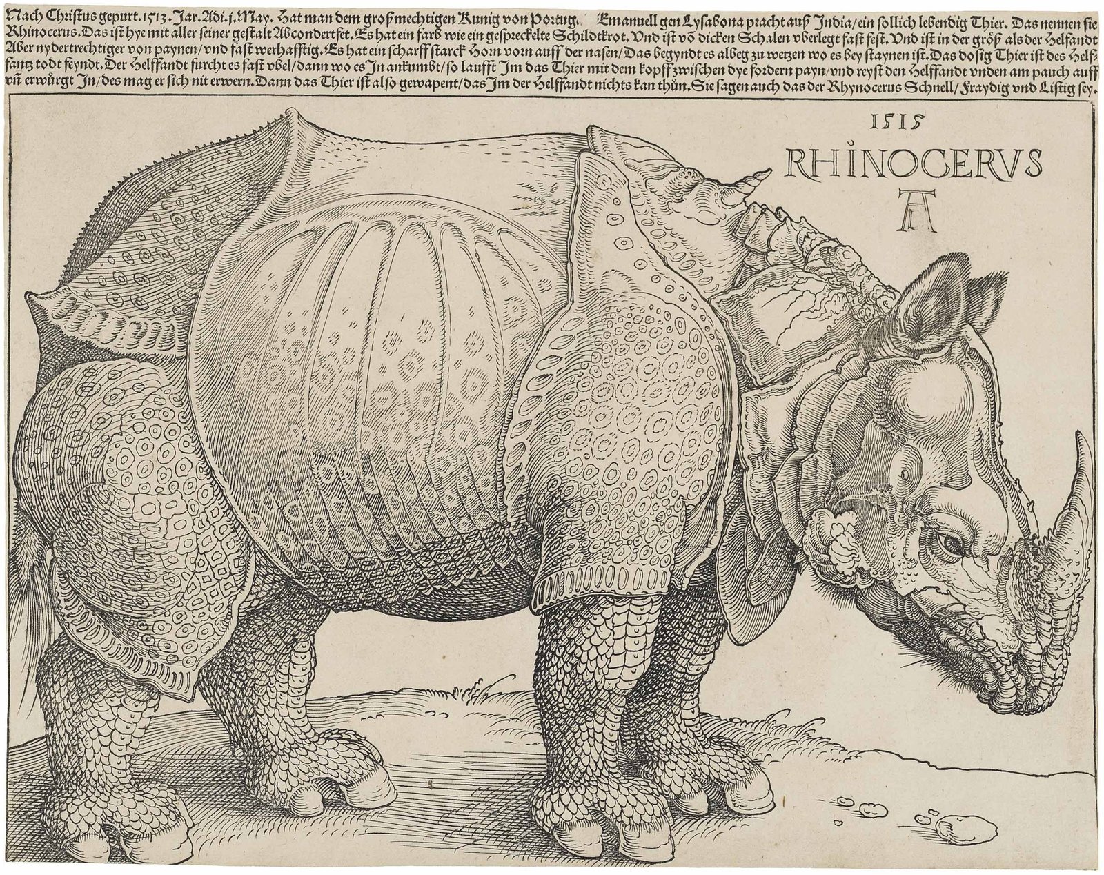 DC3BCrer27s Rhinoceros2C 1515 DC3BCrer27s Rhinoceros2C 1515