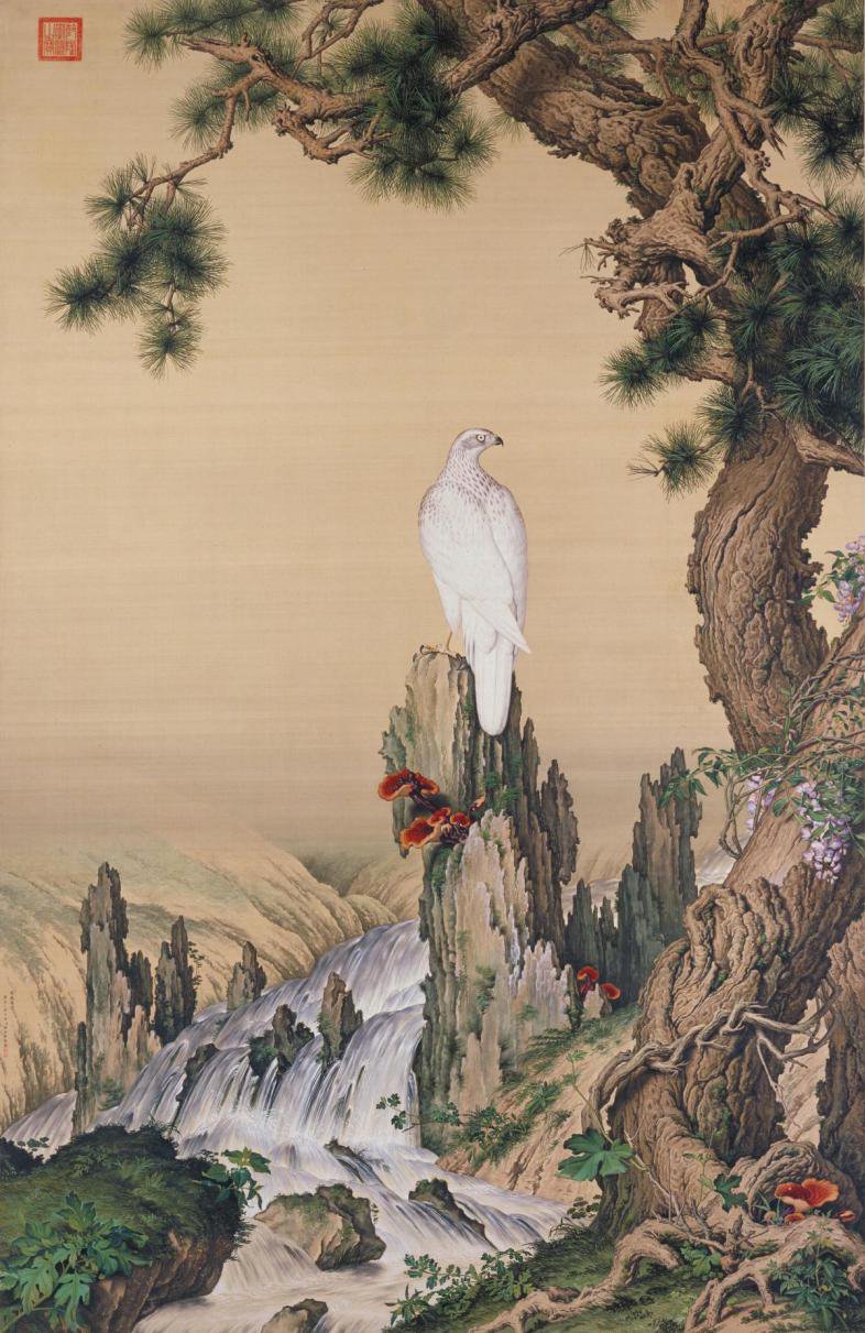 r2 palace museum pine hawk ganoderma r2 palace museum pine hawk ganoderma