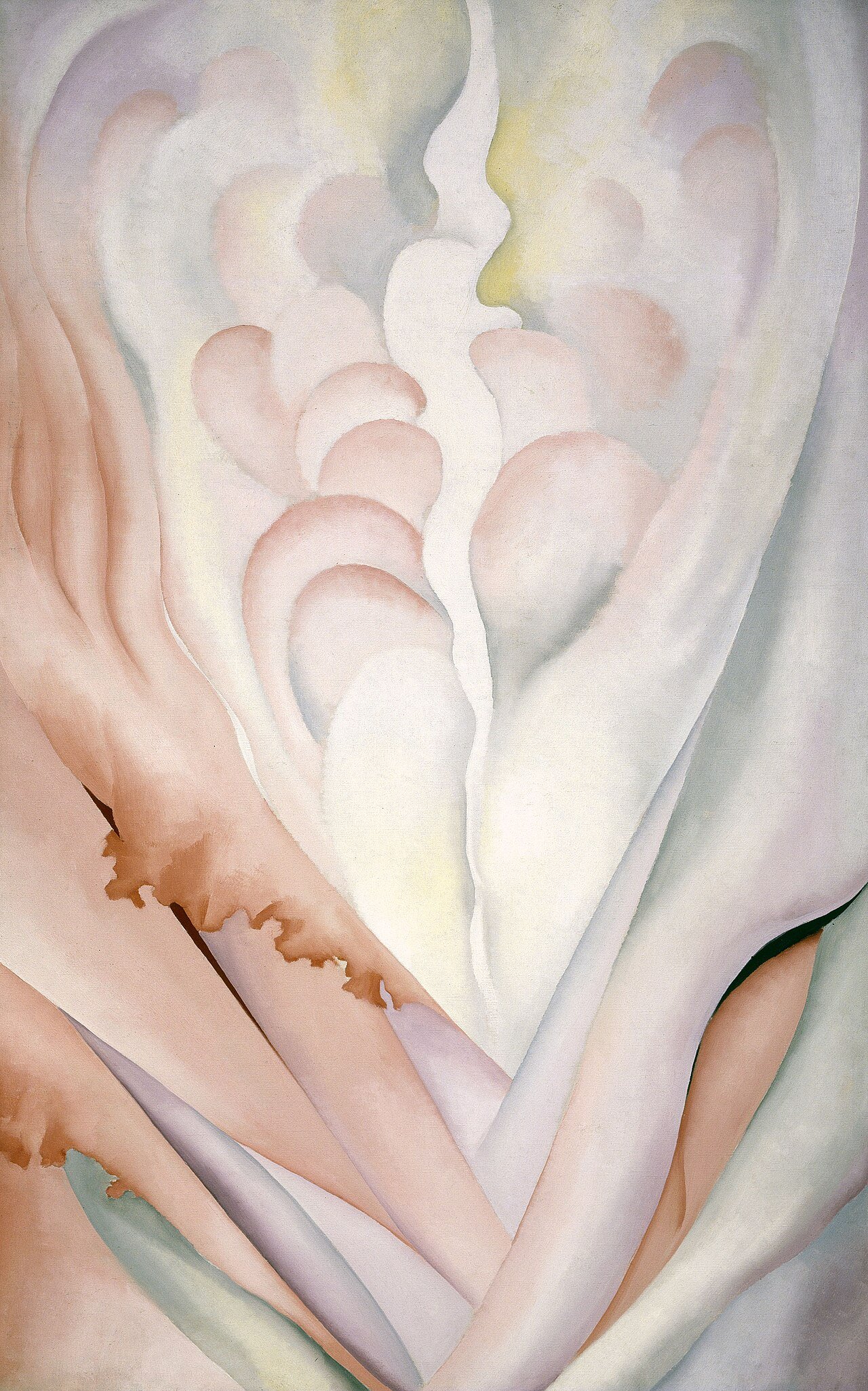 r2 whitney okeeffe flower abstraction whitney