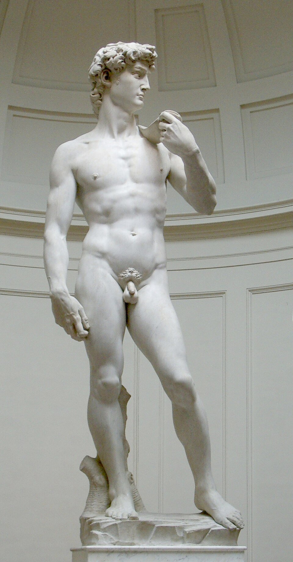 thumb David von Michelangelo